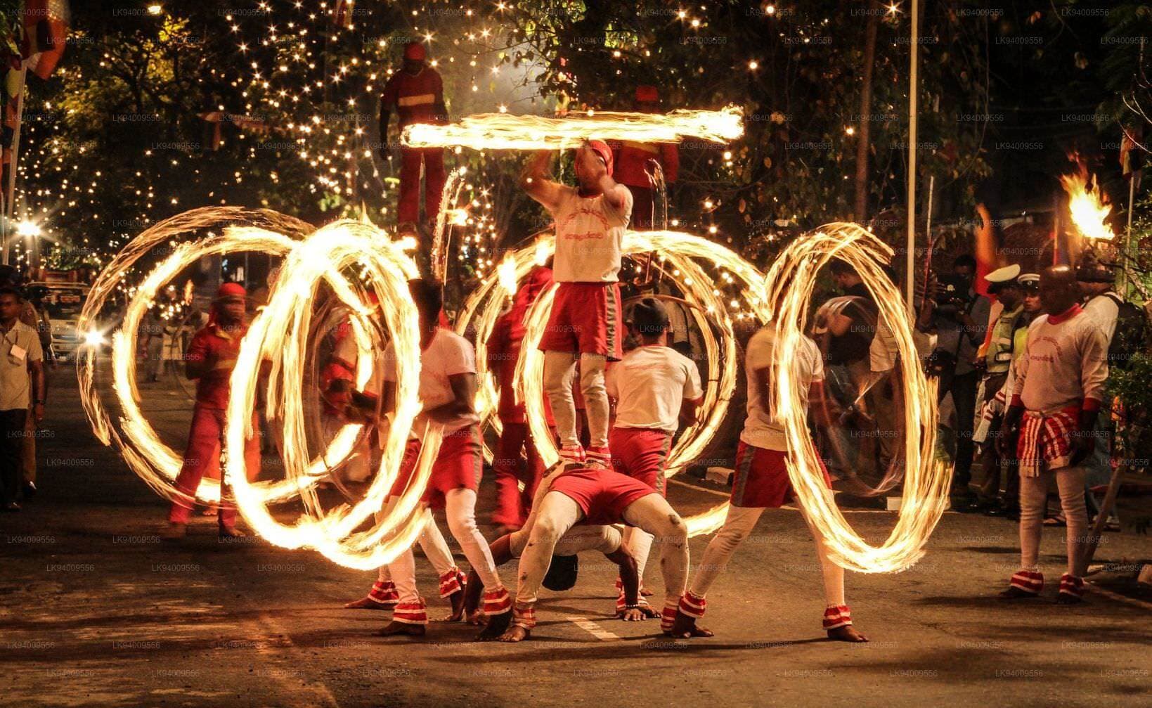 Tea Plantation Experience in Nuwara Eliya