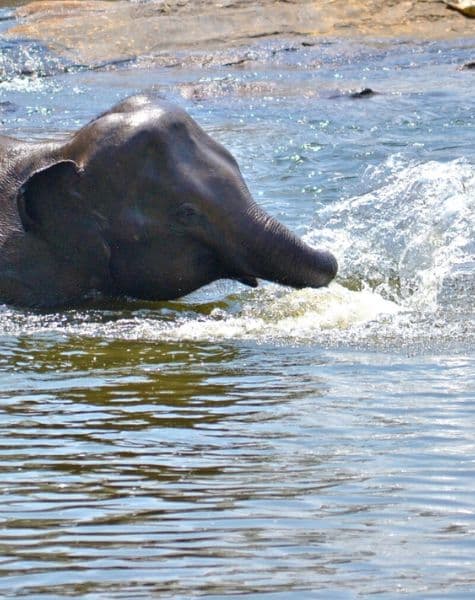 Say Yes in the Island of Serendipity Day5