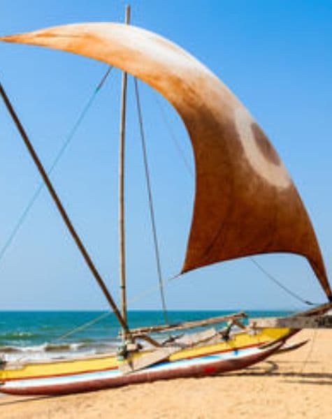 Say Yes in the Island of Serendipity Day3