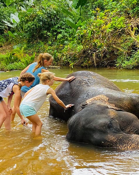 Sri Lanka vs Australia 2025 – Cricket Tour Day 13