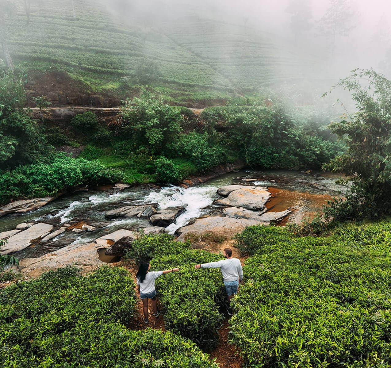04 Days- Kandy- Nuwara-Eliya- Colombo Tour