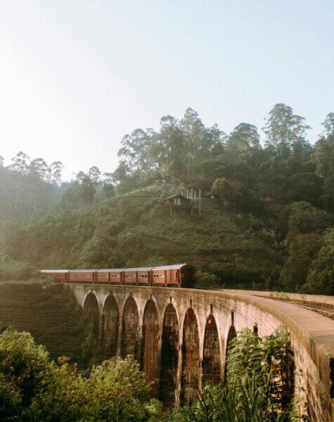 Spend Your Holiday in the Homes of Authentic Sri Lankan Hospitality Day15