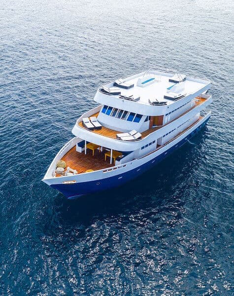 Thrilling Diving Experience with Maldives Explorer Day 5