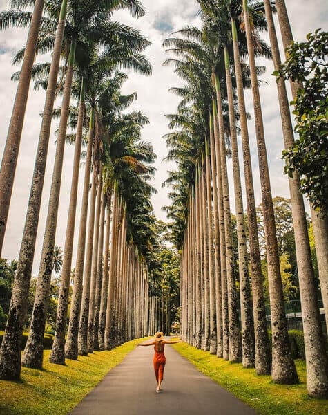 Infuse Your Holiday with Local Vibe at Flagship of Cinnamon Day12