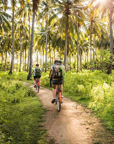 Echoes of the Wild in Sri Lanka Day 12