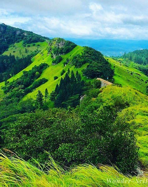 Experience True Elegance and Luxury with W15 Collection Day 6