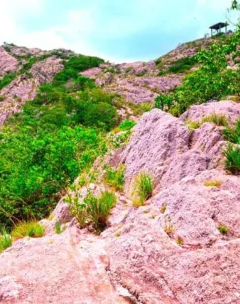 Purify and Discover Yourself Day6