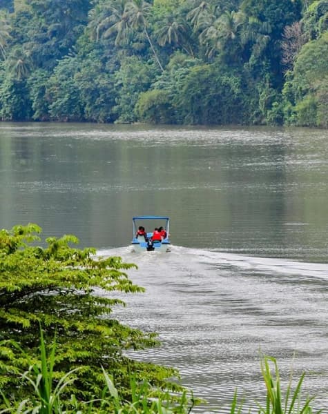 Infuse Your Holiday with Local Vibe at Flagship of Cinnamon Day14