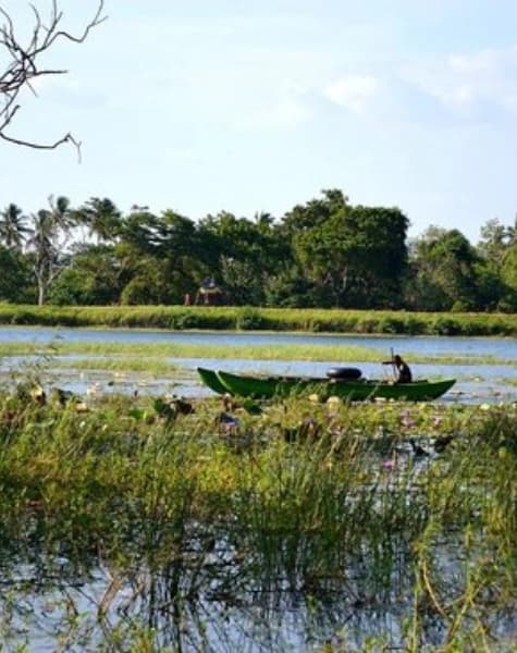 Off Road Adventure Tour in Sri Lanka Day6
