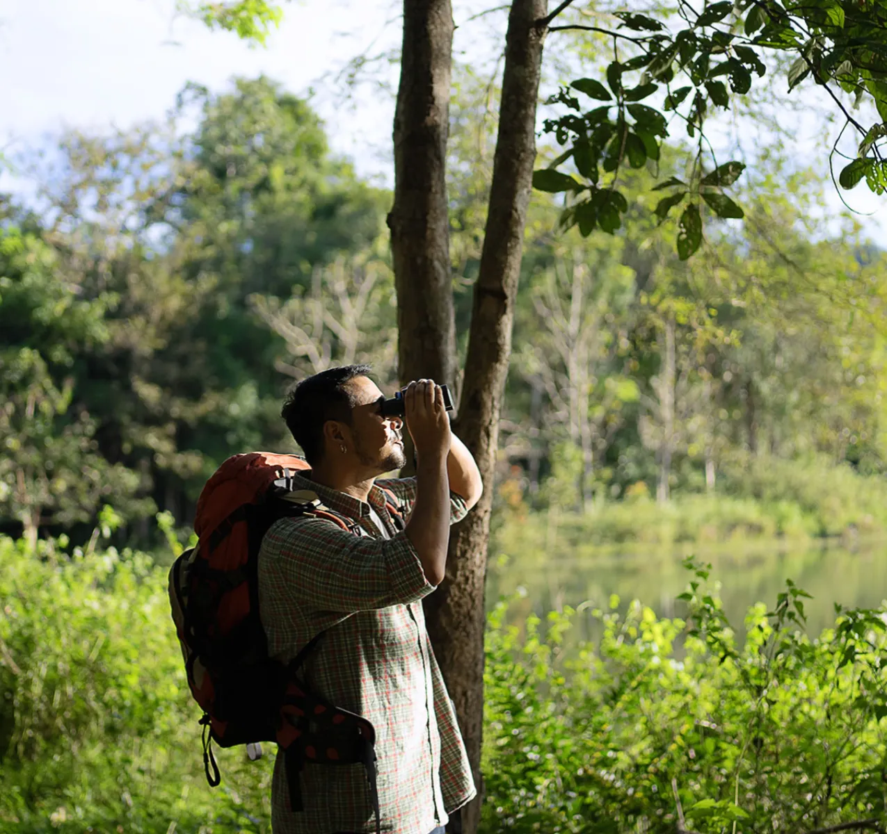 Feathered Trails of Ceylon