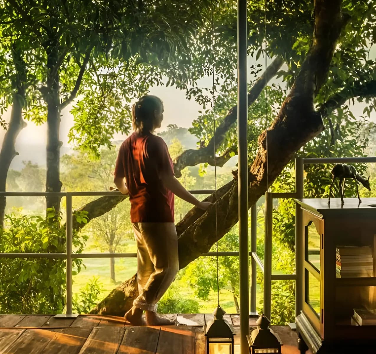 Into the Wild with Rustic Retreats