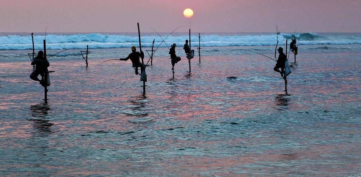 Sri Lanka Stilt Fishermen