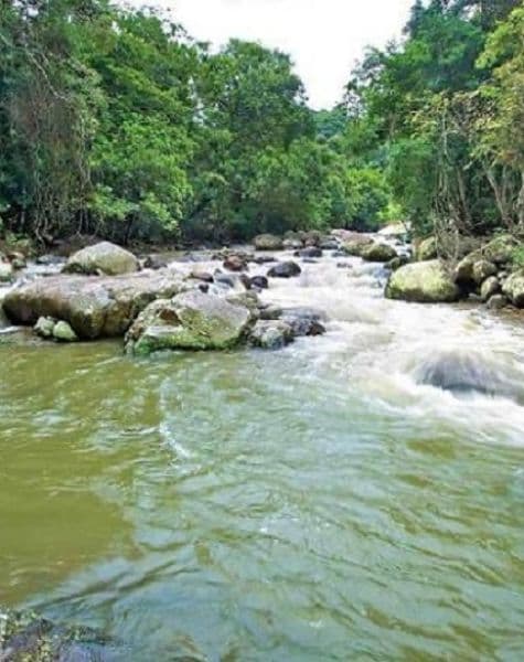 Into the Wild with Rustic Retreats Day9