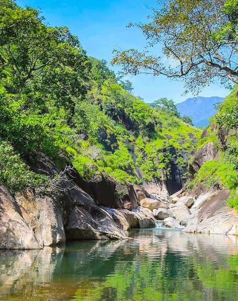 Into the Wild with Rustic Retreats Day8