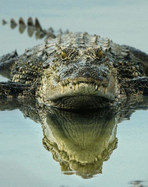 Wildlife Tour in Sri Lanka Day4