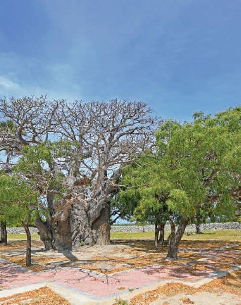 Explore Northwest East Central Tour in Sri Lanka Day8