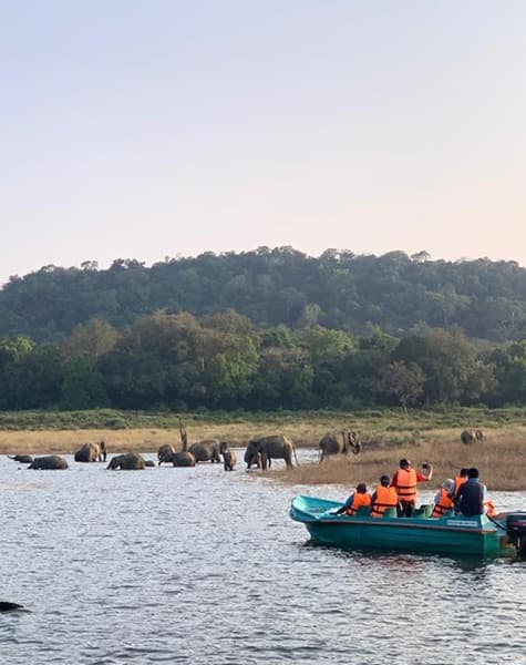 Into the Wild with Rustic Retreats Day14