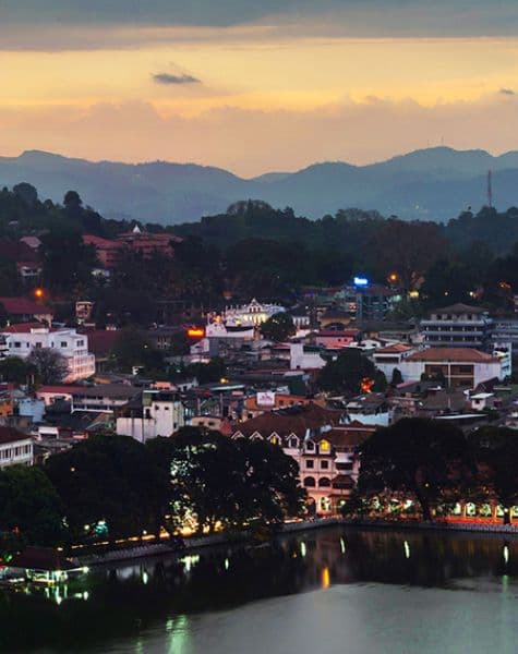 Wildlife Tour in Sri Lanka Day12, 13