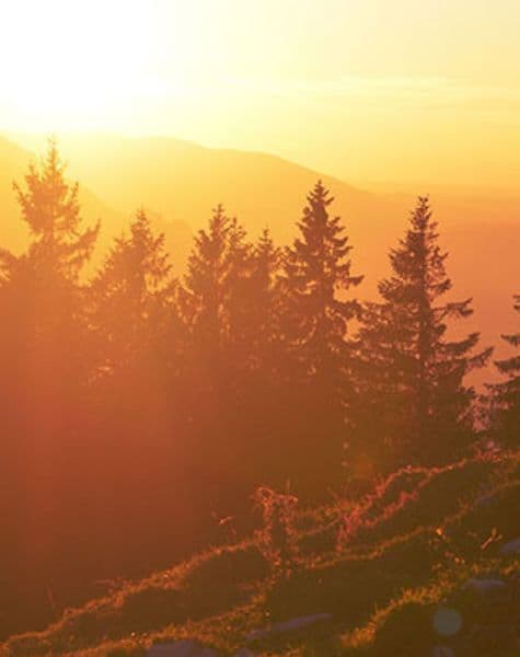 Wildlife Tour in Sri Lanka Day14