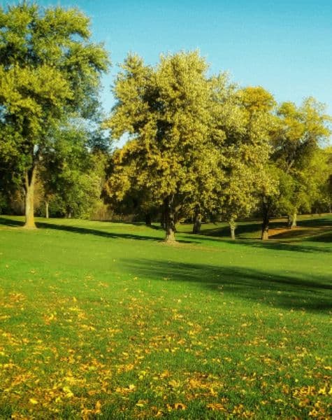 Shopping Tour in Sri Lanka Day15