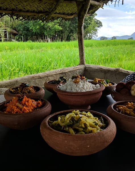 Last Minute Tour in Sri Lanka Day 5