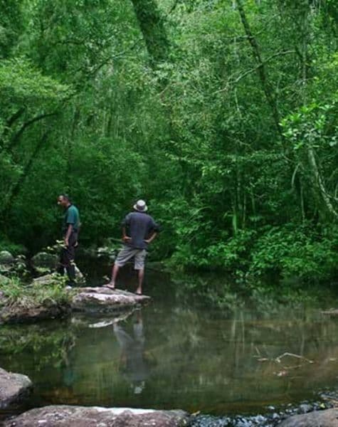 Into the Wild with Rustic Retreats Day6