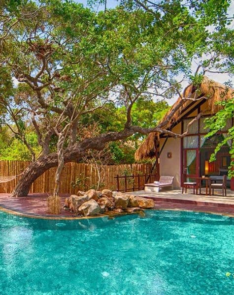 Explore Northwest East Central Tour in Sri Lanka Day10