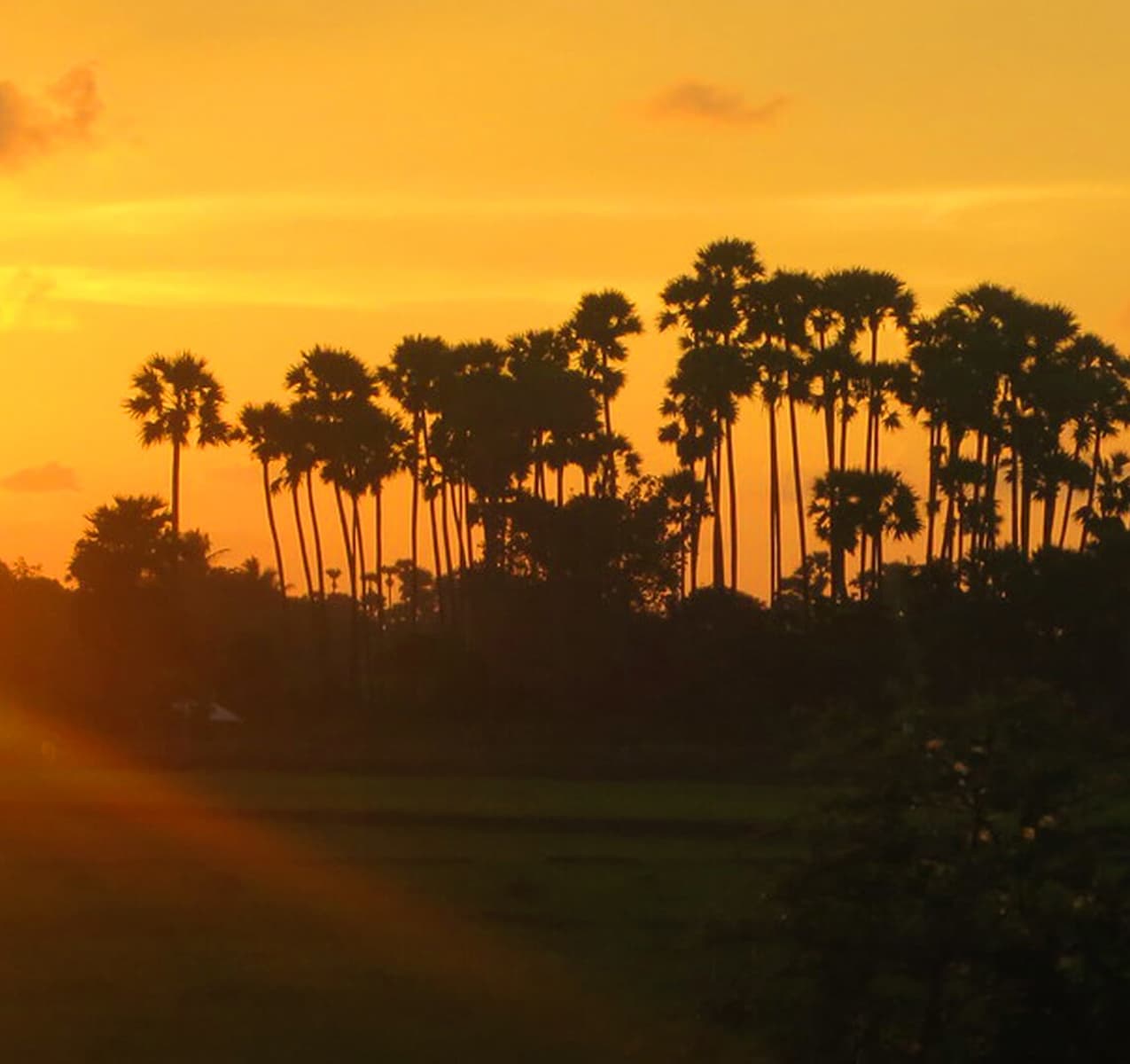 Explore Northwest East Central Tour in Sri Lanka Day1