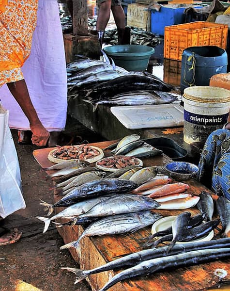 Solo Tour in Sri Lanka Day 4