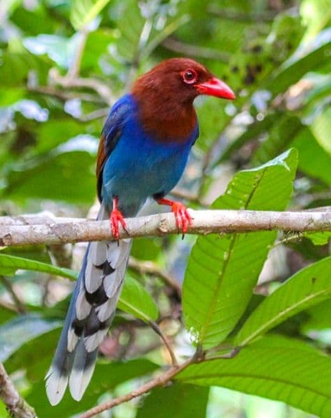 Into the Wild with Rustic Retreats Day7