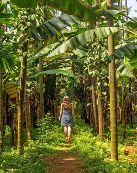 Shopping Tour in Sri Lanka Day10