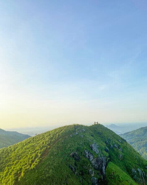 Tour on Leopards Trails in Sri Lanka Day 14