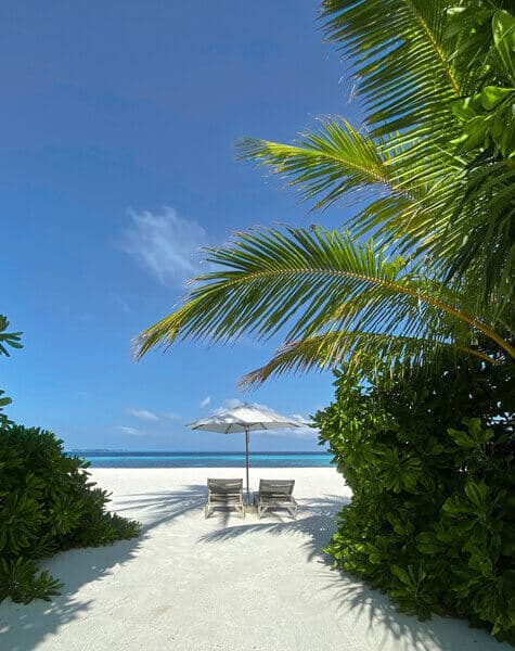 08 Days Private Island Holiday in Maldives Day 5