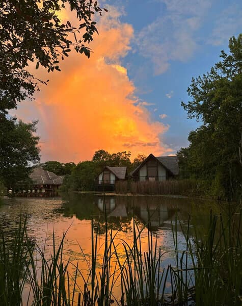 Baby Mooning in Sri Lanka Maldives Day 6