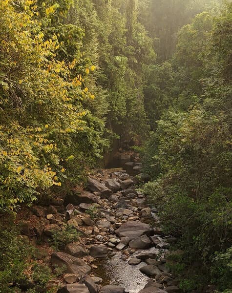 Unforgettable Adventures in Sri Lanka Maldives Day 9