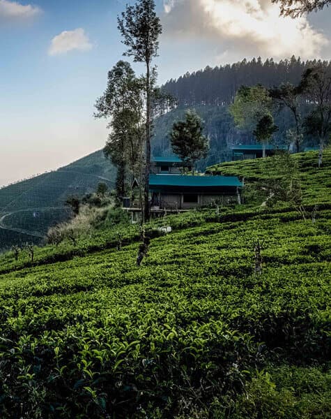 Sri Lanka Maldives Honeymoon Tour Day 7