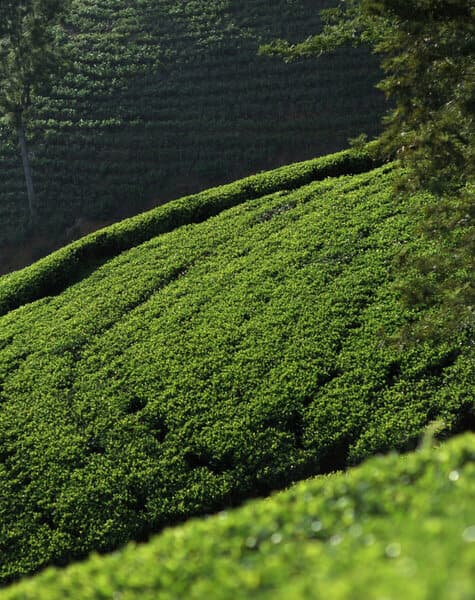 Unforgettable Adventures in Sri Lanka Maldives Day 11