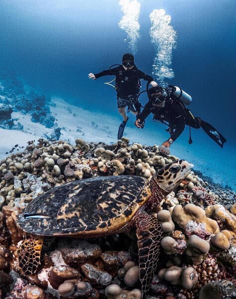 Romance on the Beach Hurawalhi Island Resort Day 4