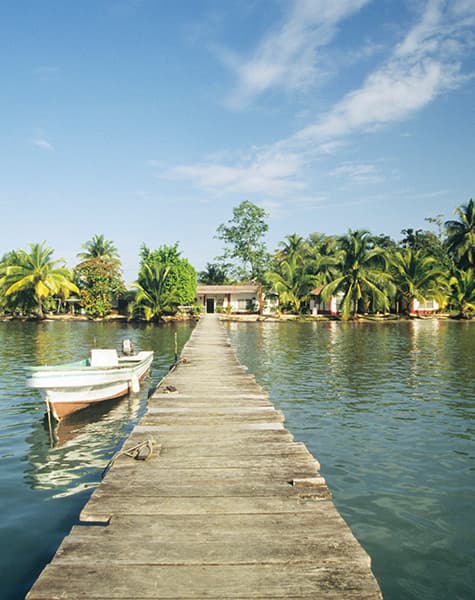Feathered Trails of Ceylon Day8