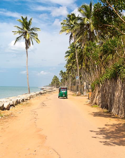 Feathered Trails of Ceylon Day7