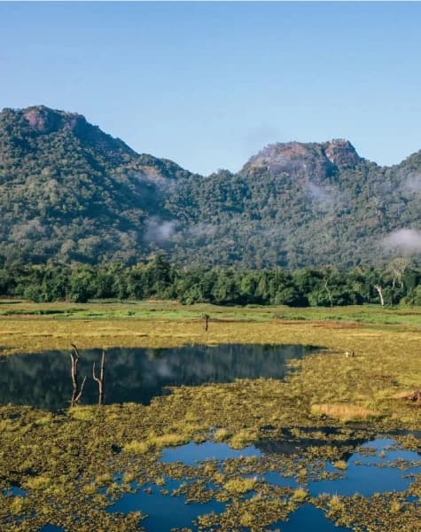 Into the Wild with Rustic Retreats Day12