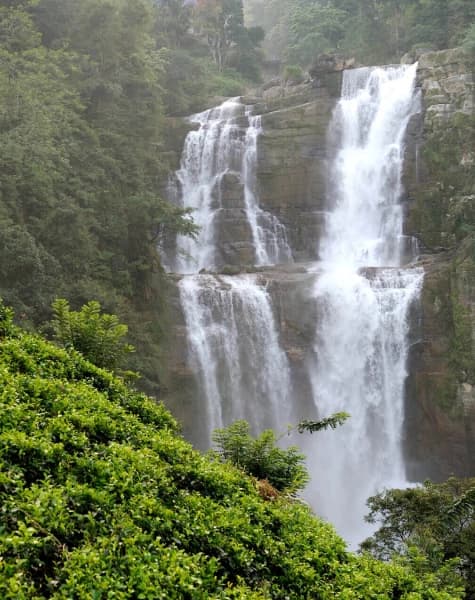 Tour on Leopards Trails in Sri Lanka Day12