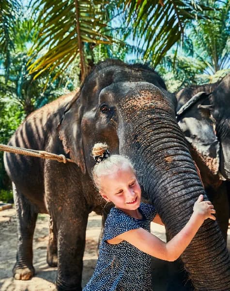 Sri Lanka Tour with a Baby Day7
